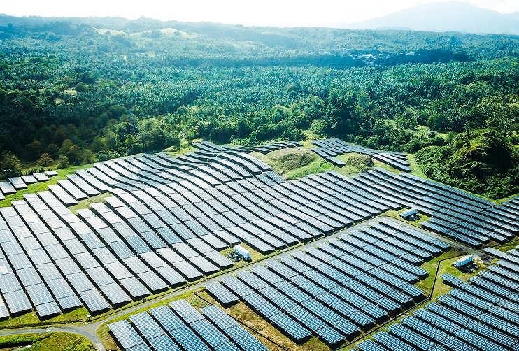 Landscape Illustration